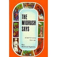 The Midrash Says Volume 3 Vayikra [Hardcover]