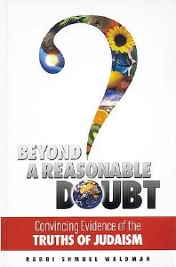Beyond a Reasonable Doubt [Paperback]