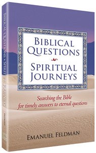 Biblical Questions, Spiritual Journeys - Hardcover