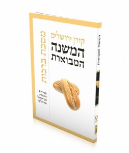 The Koren Mishnayot on Berachot Steinsaltz [Paperback]