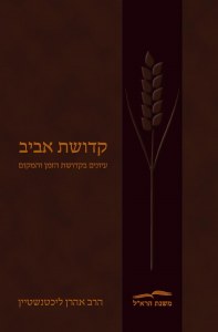 Kedushat Aviv [Hardcover]