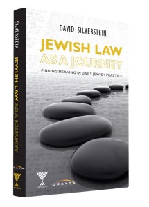 Jewish Law as a Journey [Hardcover]