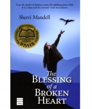 The Blessing of a Broken Heart [Paperback]