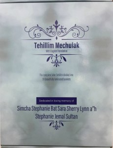 Tehillim Mechulak Hebrew and English 39 Laminated Volumes