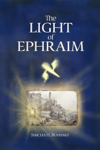 The Light of Ephraim [Hardcover]
