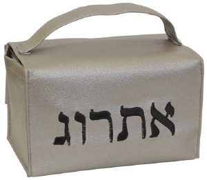 Esrog Box Holder Vinyl with Handle Taupe with Black Embroidery