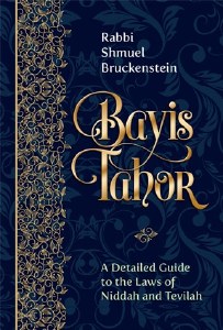 Bayis Tahor [Hardcover]