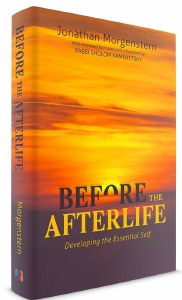 Before The Afterlife [Hardcover]