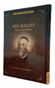 Beis Halevi Essay on Bitachon [Hardcover]