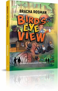 Bird's-Eye View Comic Story [Hardcover]