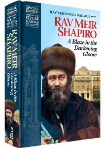 A Blaze in the Darkening Gloom Rav Meir Shapiro [Hardcover]