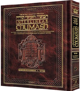 The Schottenstein Edition Interlinear Chumash Volume 4: Bamidbar (Numbers) [Hardcover]