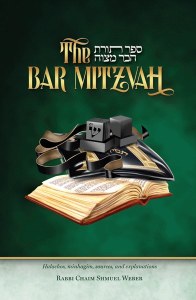 The Bar Mitzvah [Hardcover]