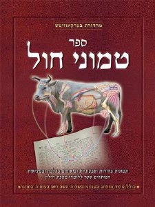 Sefer Temunei Chol Hebrew [Hardcover]