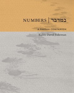 Numbers A Parsha Companion Bamidbar [Hardcover]
