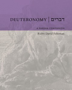 Deuteronomy A Parsha Companion Devarim [Hardcover]