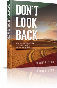 Don't Look Back [Hardcover]