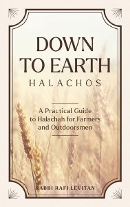 Down to Earth Halachos [Hardcover]