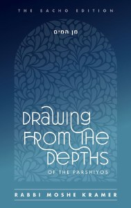 Drawing from the Depths of the Parshiyos [Hardcover]