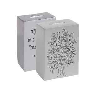 Yair Emanuel Anodized Aluminum Tzedakah Box Square with Print - Silver