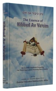 The Essence of Kibbud Av Va'eim [Hardcover]