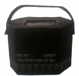 Esrog Box Leather with Window and Handle