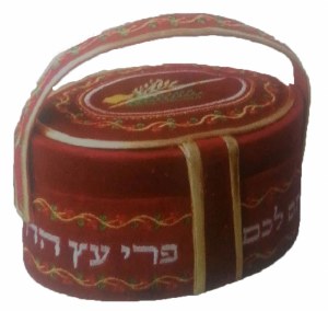 Esrog Box Velvet with Handle Holiday Design