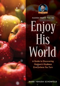 Enjoy His World [Hardcover]