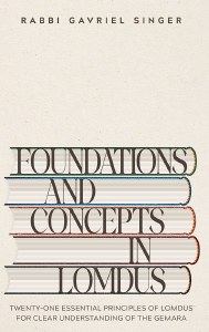 Foundations and Concepts in Lomdus [Hardcover]