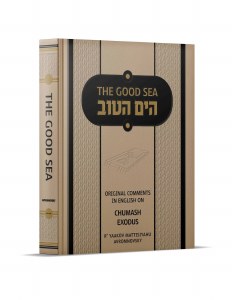 The Good Sea HaYam HaTov [Hardcover]