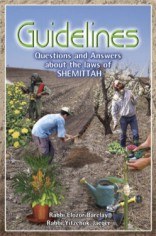 Guidelines to Shemittah [Hardcover]