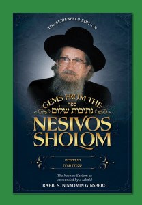 Gems from the Nesivos Shalom Chag HaSukkos & Simchas Torah [Hardcover]