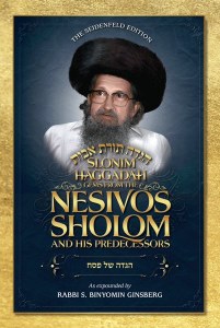 Gems from the Nesivos Shalom Slonim Haggadah [Hardcover]