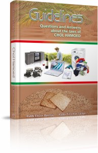 Guidelines Chol Hamoed [Hardcover]