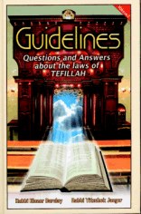 Guidelines to Tefillah Volume 2 [Hardcover]