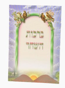 Birchas HaShachar Laminated Booklet