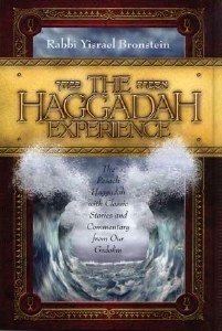 The Haggadah Experience [Hardcover]