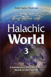 Halachic World Volume 3 [Hardcover]