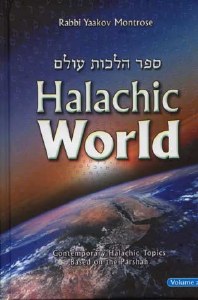 Halachic World, Volume 2