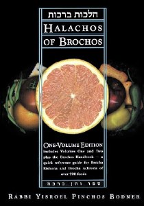 Halachos of Brochos [Hardcover]