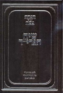 Haggadah Shel Pesach Siach HaGrid Hebrew Only [Hardcover]