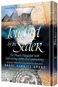 Touched by the Seder [Hardcover]