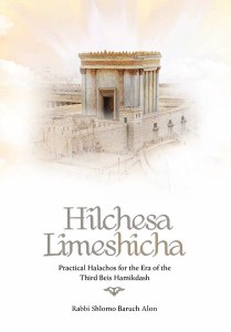 Hilchesa Limeshicha [Hardcover]