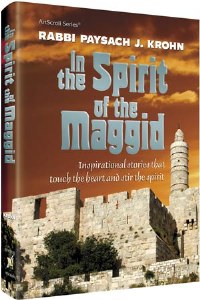 In the Spirit of the Maggid [Hardcover]
