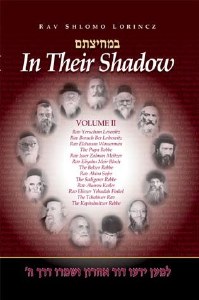 In Their Shadow Volume 2 [Hardcover]