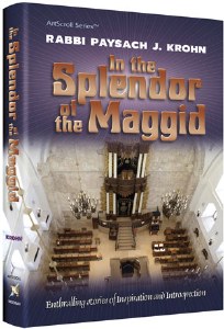 In The Splendor Of The Maggid [Hardcover]