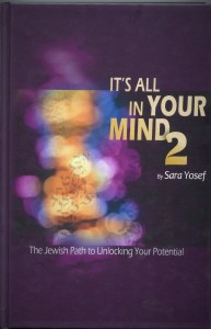 It's All In Your Mind Volume 2 [Hardcover]