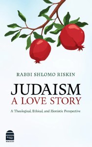 Judaism A Love Story [Hardcover]
