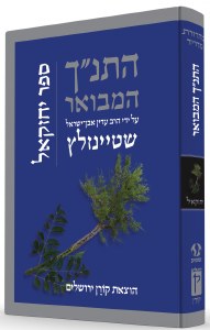 The Koren Steinsaltz Hebrew Tanakh Yechezkel Ezekiel [Hardcover]
