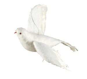 BIRD FEATHER WHITE 12" Sukkah Decoration #54